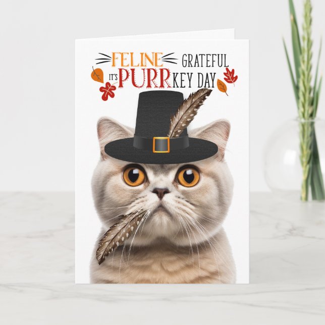 Scottish Fold Cream Cat Grateful for PURRkey Day Holiday Card (Front)