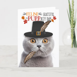 Scottish Fold Grey Cat Grateful for PURRkey Day Holiday Card