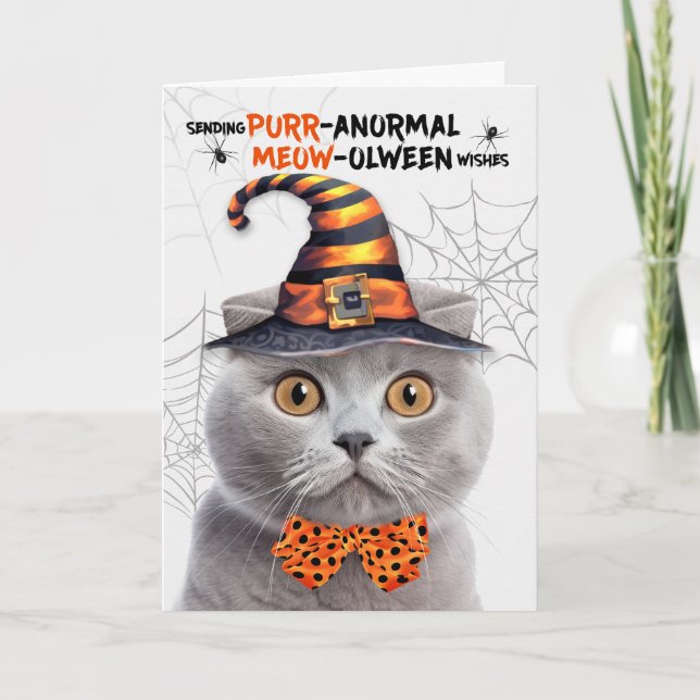 Scottish Fold Grey Cat PURRanormal MEOWolween Holiday Card (Front)