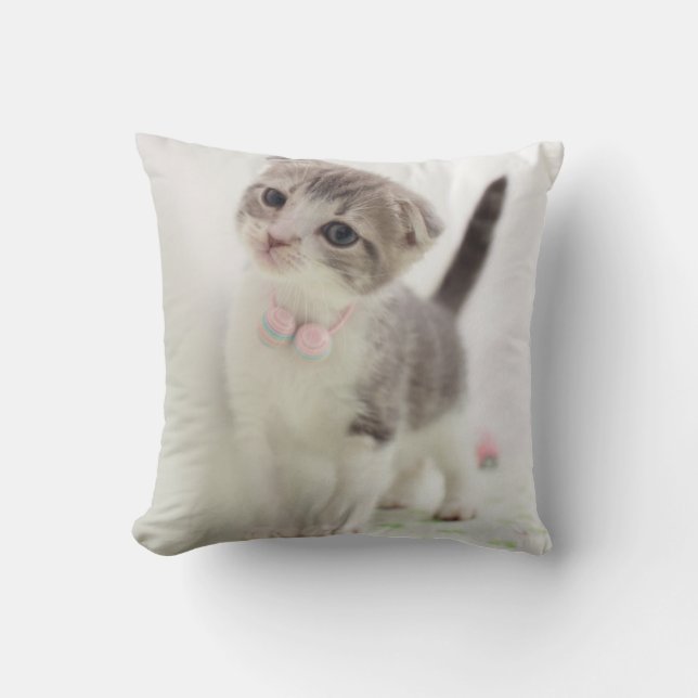 Scottish Fold Kitten Cushion (Front)