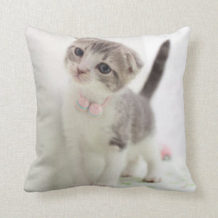 Scottish Fold Kitten Cushion