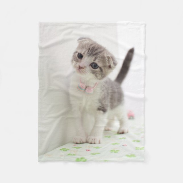 Scottish Fold Kitten Fleece Blanket (Front)