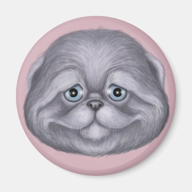 Scottish Fold Kitten Magnet (Front)