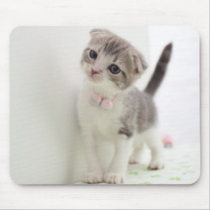 Scottish Fold Kitten Mouse Pad
