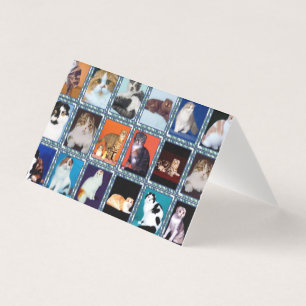 scottish fold mural business card