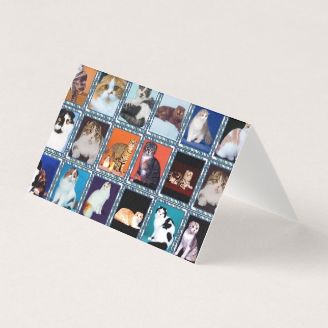 scottish fold mural business card (Front)