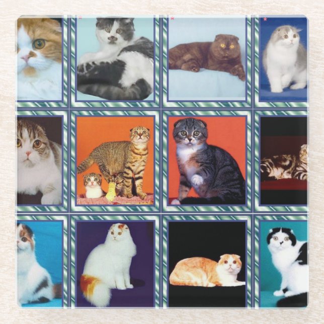 scottish fold mural glass coaster (Front)