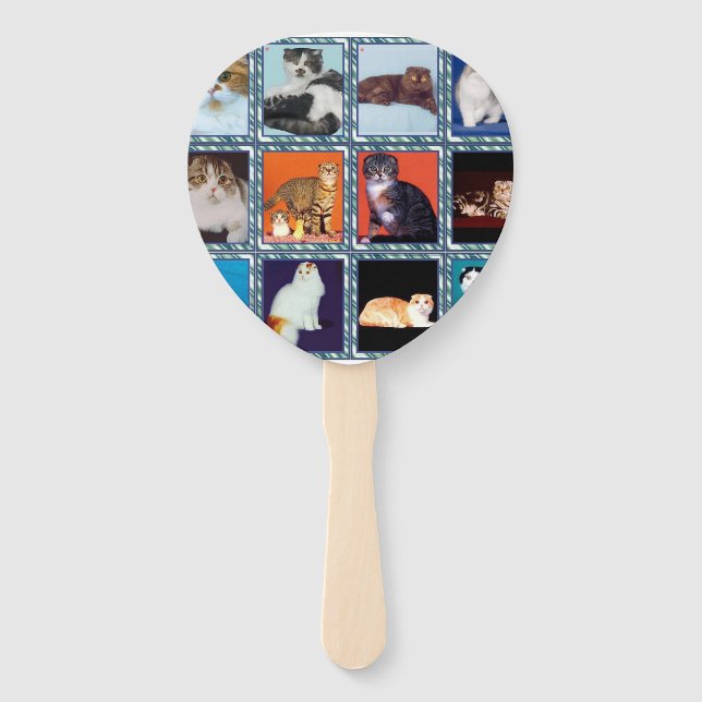 scottish fold mural hand fan (Front)