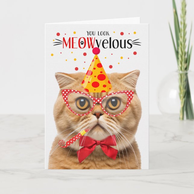 Scottish Fold Orange Cat MEOWvelous Birthday Card (Front)