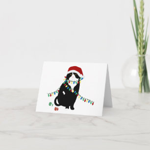 Scottish Fold Santa Cat Greeting Card