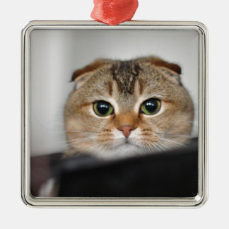Scottish fold scared metal tree decoration