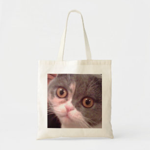 Scottish_Fold Tote Bag