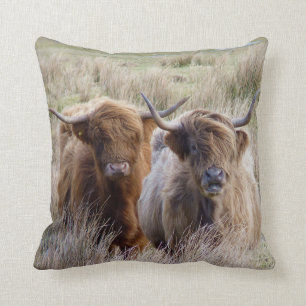 Scottish Highland Cattle Cushion