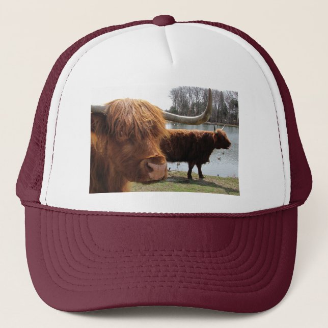 Scottish Highland Cattle ~ hat (Front)