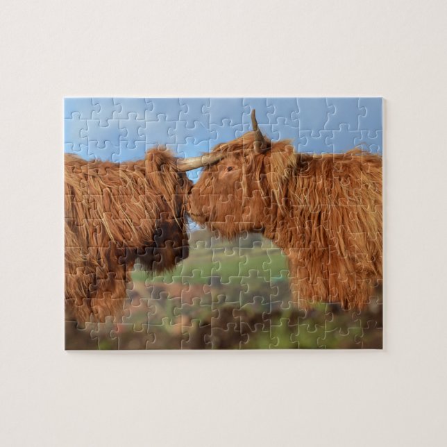 Scottish Highland Cattle Jigsaw Puzzle (Horizontal)