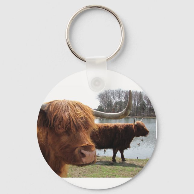 Scottish Highland Cattle ~ keychain (Front)