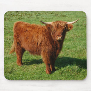 Scottish Highland Cattle Mousepad