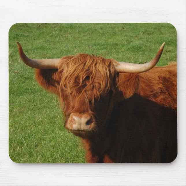Scottish Highland Cattle Mousepad (Front)