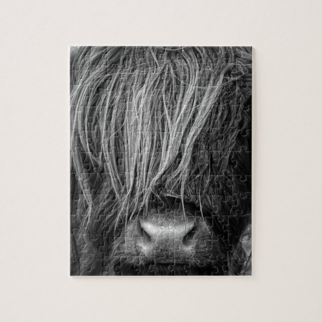 Scottish Highland Cattle - Scotland Jigsaw Puzzle (Vertical)