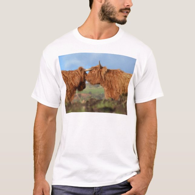 Scottish Highland Cattle T-Shirt (Front)