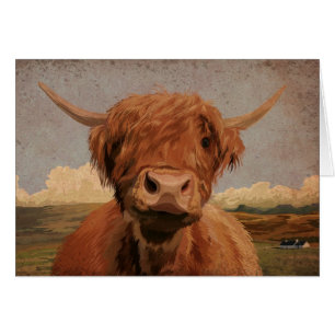 Scottish highland cow