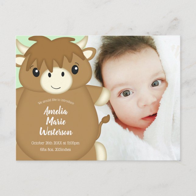 Scottish Highland Cow Baby Shower Postcard (Front)