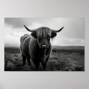 Scottish Highland Cow black and white photograph Poster
