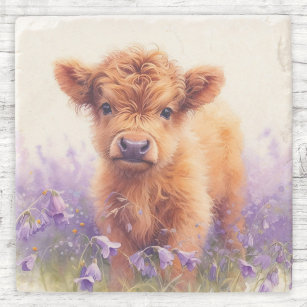Scottish Highland Cow Calf Purple Wildflowers Stone Coaster