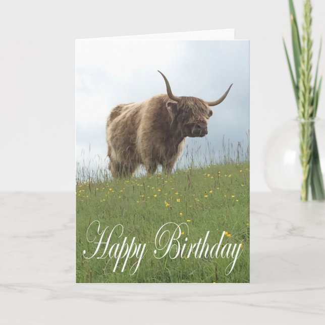 Scottish Highland Cow Card (Front)