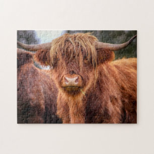Scottish Highland Cow Jigsaw Puzzle