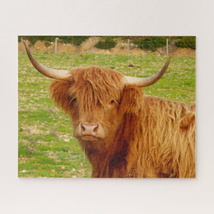 Scottish Highland Cow Jigsaw Puzzle