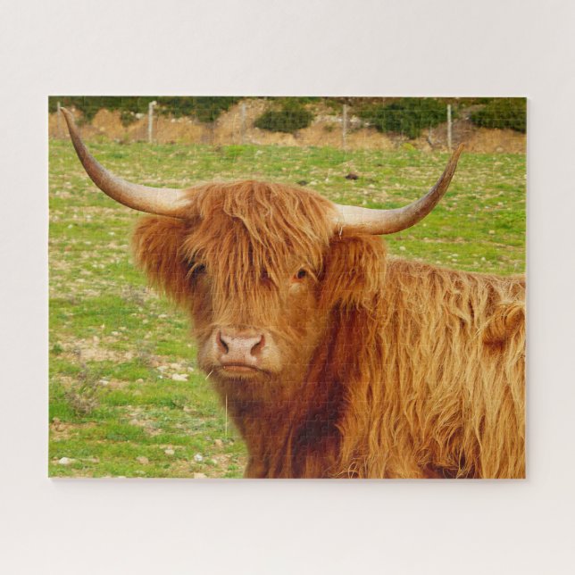 Scottish Highland Cow Jigsaw Puzzle (Horizontal)