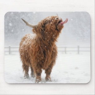 Scottish Highland Cow Licking Snowflakes Mouse Pad