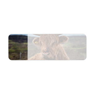 Scottish Highland Cow Longhorn Bull Rancher Return Address Label