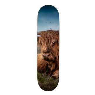 Scottish Highland Cow Longhorn Bull Rancher Skateboard