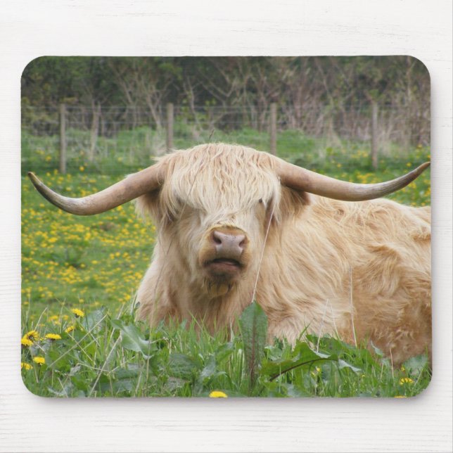 Scottish Highland Cow Mouse Pad (Front)