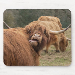 Scottish Highland cow Mouse Pad