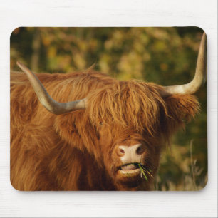 Scottish Highland Cow Mouse Pad