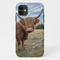 Scottish Highland Cow Portrait