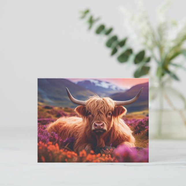 Scottish Highland Cow Postcard (Standing Front)