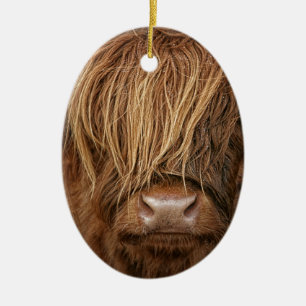 Scottish Highland Cow - Scotland Ceramic Tree Decoration