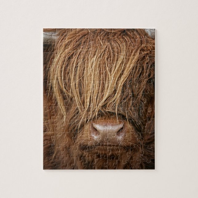 Scottish Highland Cow - Scotland Jigsaw Puzzle (Vertical)
