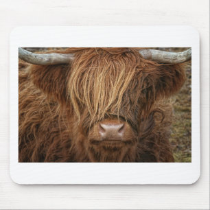 Scottish Highland Cow - Scotland Mouse Pad