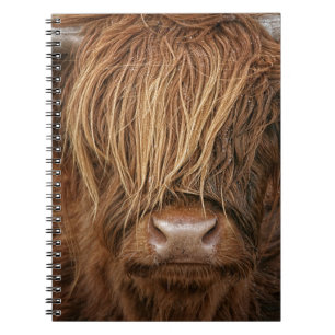 Scottish Highland Cow - Scotland Notebook