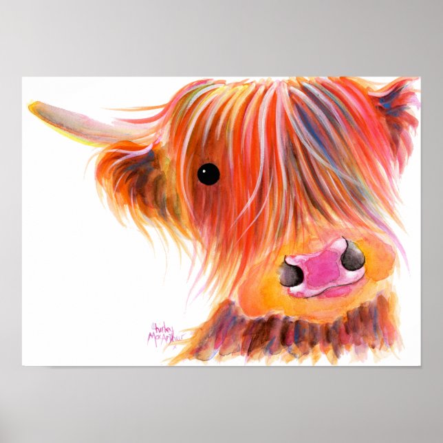 Scottish Highland Cow ' SWEET SATSUMA ' by Shirley Poster (Front)
