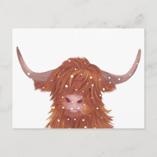 Scottish Highland Cow Winter Postcard