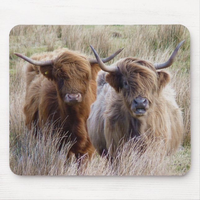 Scottish Highland Cows Mouse Pad (Front)