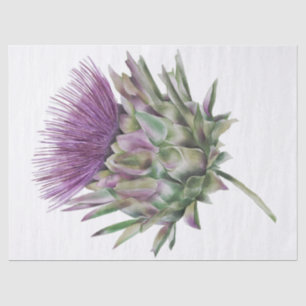 Scottish Highland Thistle Watercolor Tissue Paper
