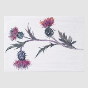 Scottish Highland Thistle Watercolor Tissue Paper