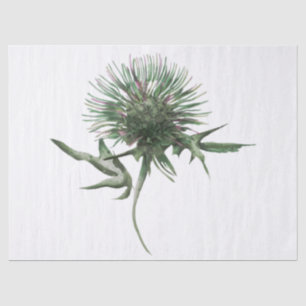 Scottish Highland Thistle Watercolor Tissue Paper